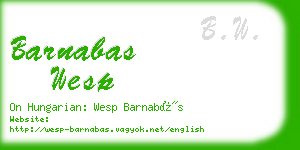 barnabas wesp business card